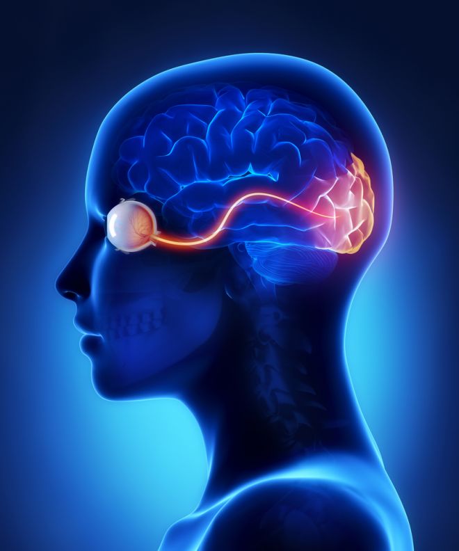 МРТ глазных орбит и зрительных нервов